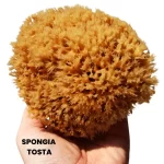 SPONGIA TOSTA