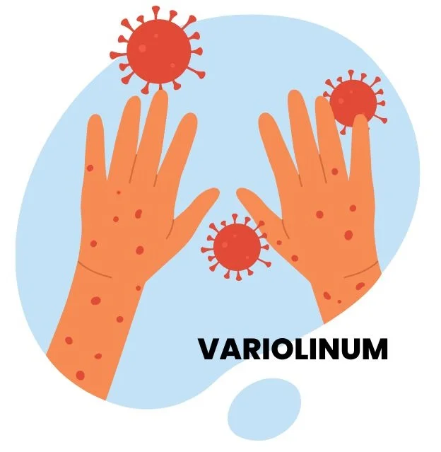 VARILINUM