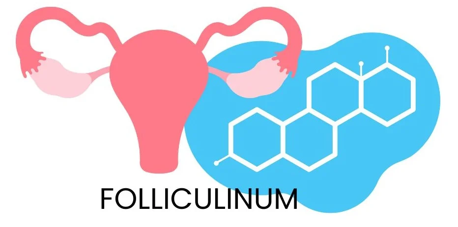FOLLICULINUM: THE HORMONAL BALANCER IN HOMEOPATHY – USES, BENEFITS, AND COMPLETE REMEDY PROFILE