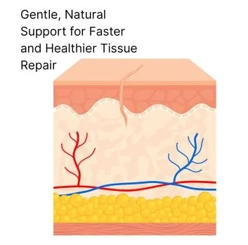 BEST HOMEOPATHIC TREATMENTS FOR WOUND HEALING